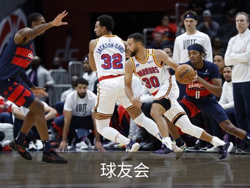 球友会概况